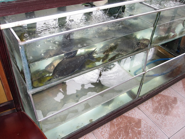 aquarium-nachher.jpg